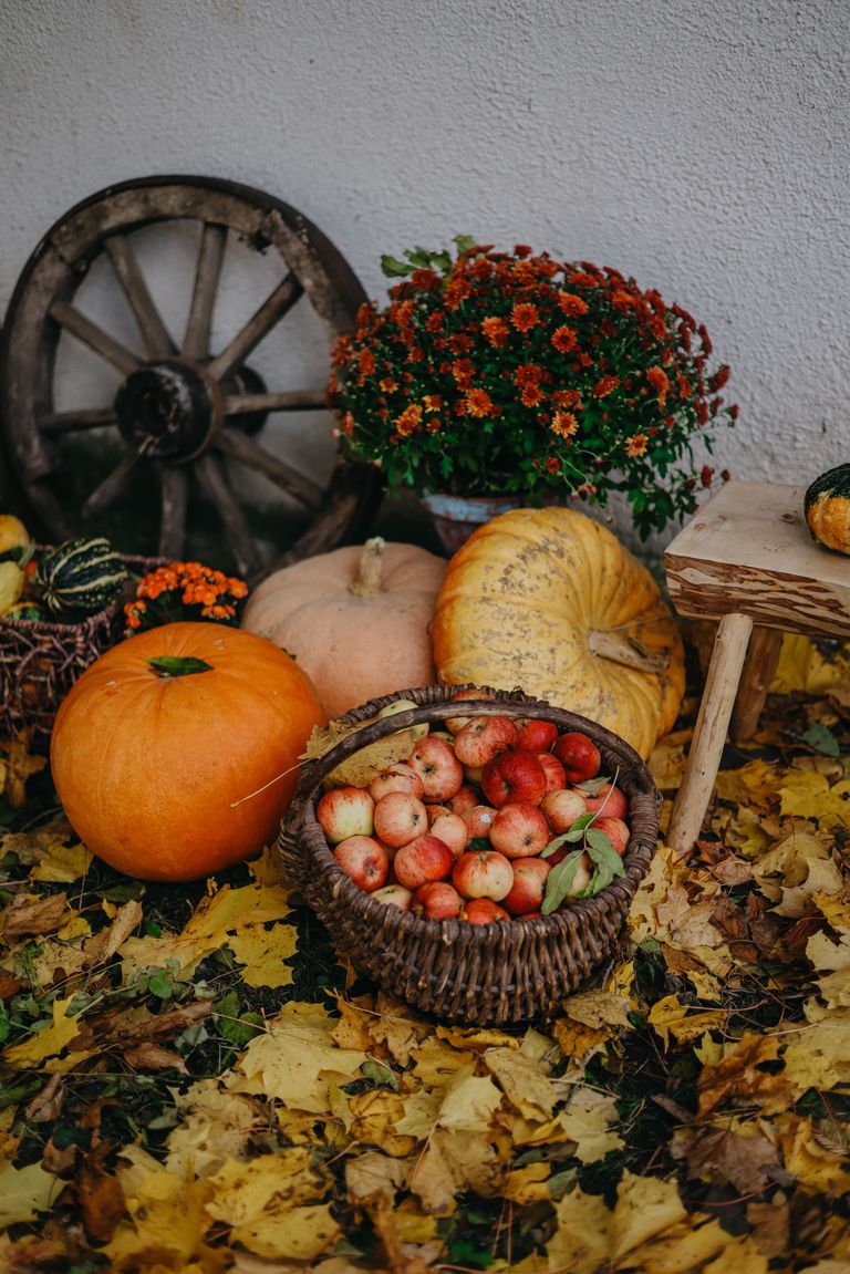 A vibrant autumn still life featuring pumpkins, apples, chrysanthemums, and leaves, evoking a harvest theme.