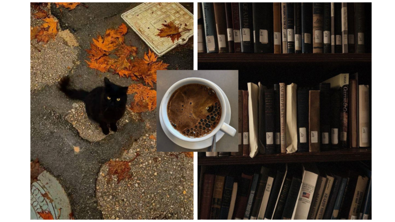 Books to Read This Autumn That Will Keep You Up Past Midnight